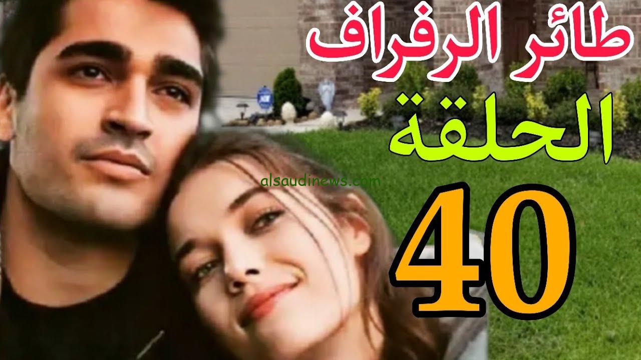 مسلسل الطائر الرفراف الحلقه 40