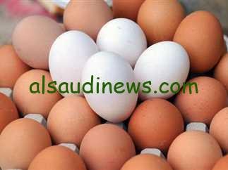 البيضة بكام|… أسعار البيض اليوم الاثنين 28 يناير في جميع الاسواق جملة وللمستهلك