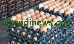 “كم سعر البيضة اليوم؟”.. أسعار البيض اليوم الأحد 21 يناير 2024 البورصة تٌفجر مفاجأة في ثمن البيض عالميا ومحليا