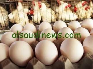 البيضة بكام في السوق؟.. سعر كرتونة البيض اليوم الأربعاء 17 يناير 2024 في الأسواق بورصة البيض