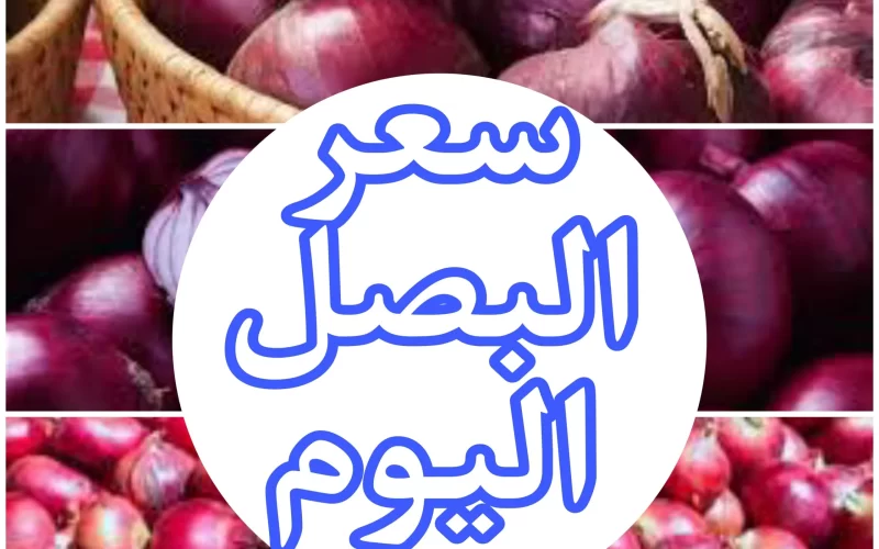 «بكام البصل النهارده».. سعر طن البصل اليوم الخميس 25 يناير 2024 للتجار والبائعين في سوق العبور