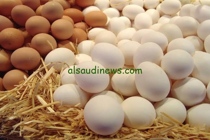 “بــ135 للكرتونة”.. أسعار البيض اليوم السبت 27-1-2024 في المزارع والأسواق