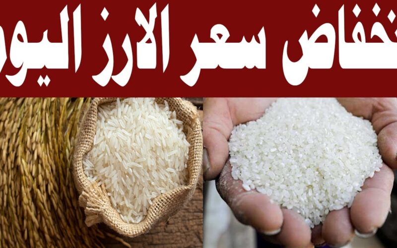 “سعر الأرز اليوم”… أسعار طن الأرز الشعير اليوم الأربعاء 24 يناير جملة وقطاعي تراجع بسيط