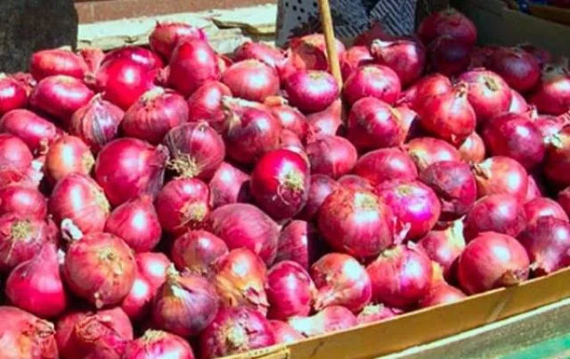 البصل ب 11.5 في الاسواق.. أسعار البصل اليوم في سوق العبور واسعار الخضروات اليوم