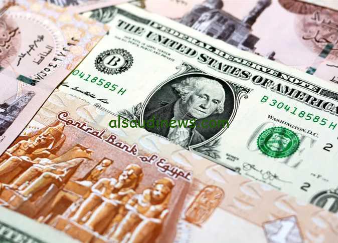 "في عطلة البنوك" أسعار الدولار اليوم الجمعة 15-2-2024 في مصر