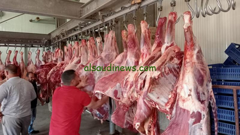 بكام كيلو اللحمه البلدي… اسعار اللحوم في مصر اليوم الاربعاء 14 فبراير 2024