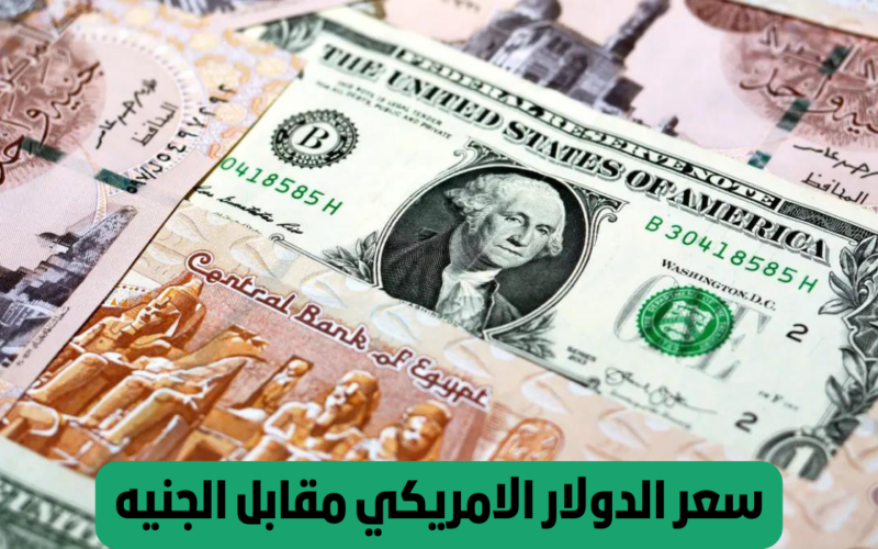 أسعار الدولار اليوم بعد سعر الفائدة | بــ 45 الآخضر ينهار في السوق السوداء في مصر اليوم