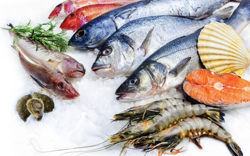 “سعر السمك الآن” أسعار الأسماك اليوم في جميع الأسواق المصرية