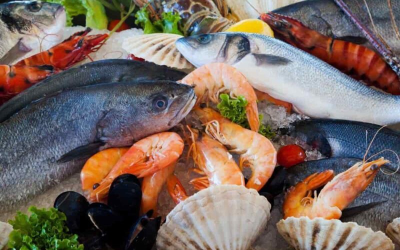 “قبل رمضان” أسعار السمك اليوم للمستهلك السبت 24-2-2024 في سوق العبور والمتاجر “القاروص بـ 190ج”