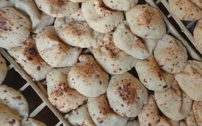 “بطاقات صرف الخبز” التموين تعلن عن أماكن الحصول على كارت الخبز الجديد قبل رمضان 2024