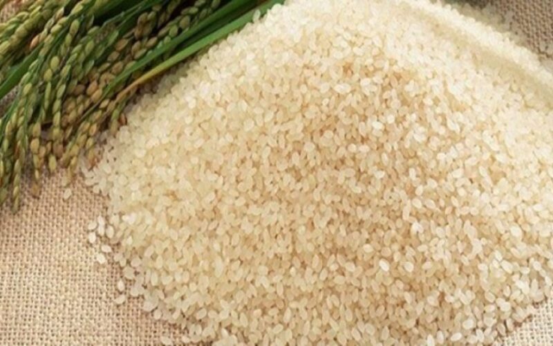 الرز بكام|.. سعر طن الأرز الشعير اليوم الأربعاء 28-2-2024 في مصر للمستهلك في مصر