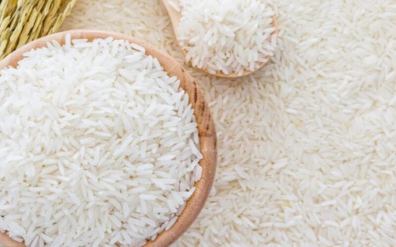“الحق اشتري” سعر طن الأرز الشعير اليوم الجمعة 16-2-2024 في مصر