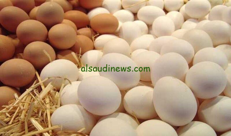 انخفاض سعر كرتونة البيض اليوم الاحد 11-2-2024 في المزارع ب5ج