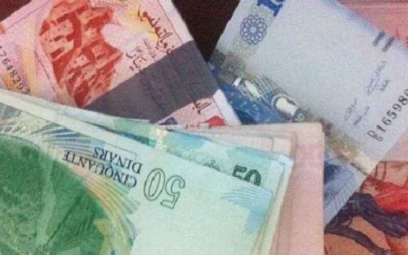 منحة الـ 300 دينار بتونس| الفئات المستفيدة من منحة الحكومة التوسية 300 دينار
