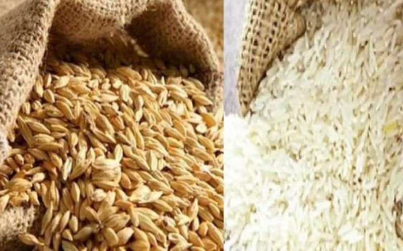 “بكام الأرز الشعير النهاردة ؟” سعر الارز الشعير اليوم السبت 2-3-2024