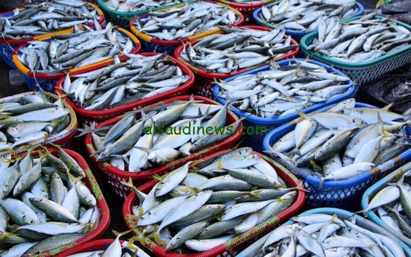 “فريش وطازة” قائمة أسعار السمك اليوم الخميس 7 مارس 2024 