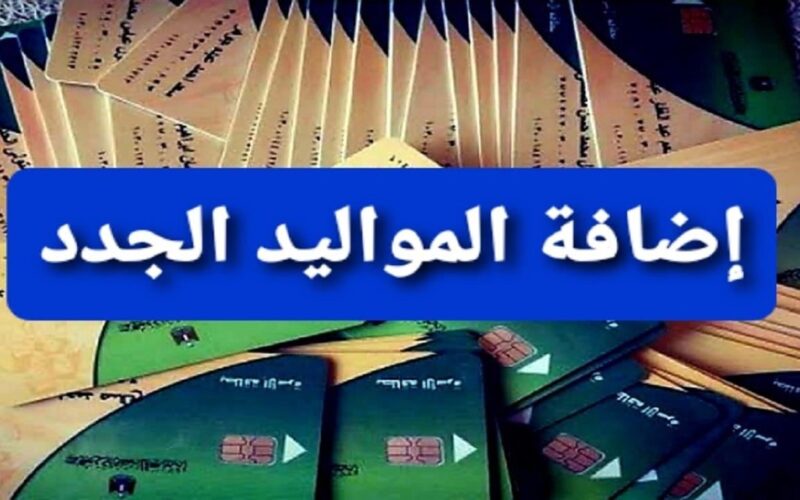 “أخيرا هتقدر تضيف ولادك” تسجيل دخول بوابة مصر الرقمية لإضافة المواليد على بطاقة التموين