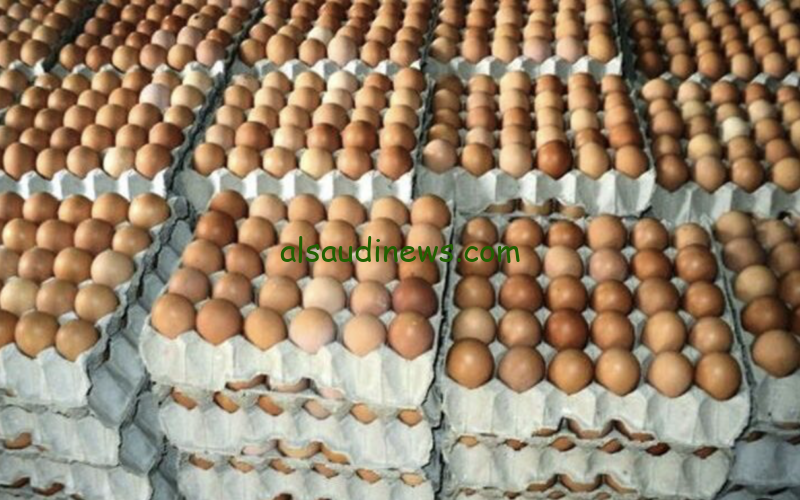 “بكام كارتون البيض النهاردة ؟” سعر كرتونة البيض اليوم السبت 2-3-2024 في الأسواق والمزارع