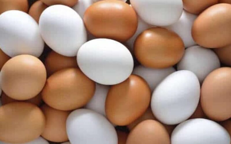 “بكام البيض النهاردة؟” انخفاض سعر كرتونة البيض اليوم  الخميس 7 مارس 2024 في الأسواق والمحلات