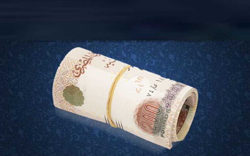 رسميا: شروط صرف منحة 1000 جنيه للسيدات في مصر