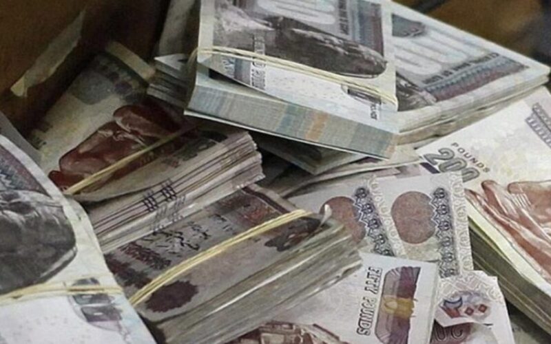 الحق دلوقت: بنك ناصر 2024 يعلن قرض حسن للأرامل والمطلقات بدون فوائد وقسط 300ج
