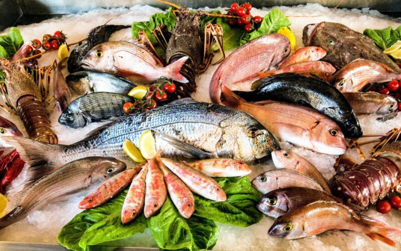 “البوري بكام النهاردة؟” أسعار السمك اليوم للمستهلك الأحد 3-3-2024 في الأسواق والمحلات