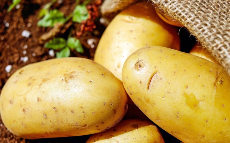 “هتغلى تاني” أسعار البطاطس اليوم الخميس 7 مارس 2024 وأسعار الخضار والفاكهة اليوم في السوق المصري