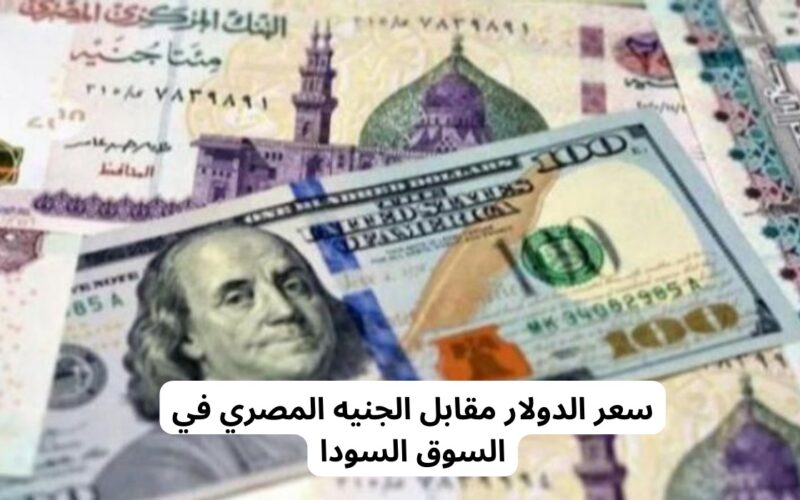 سعر الدولار مقابل الجنية اليوم الاثنين 6 مايو 2024 فى جميع البنوك المحلية المصرية والسوق السوداء