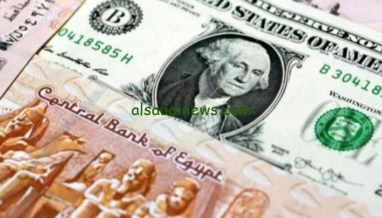 ″الاخضر ينهار” اعلي سعر للدولار في السوق السوداء اليوم الأربعاء 20/11/2024 في التحديث الأخير – السعودية نيوز