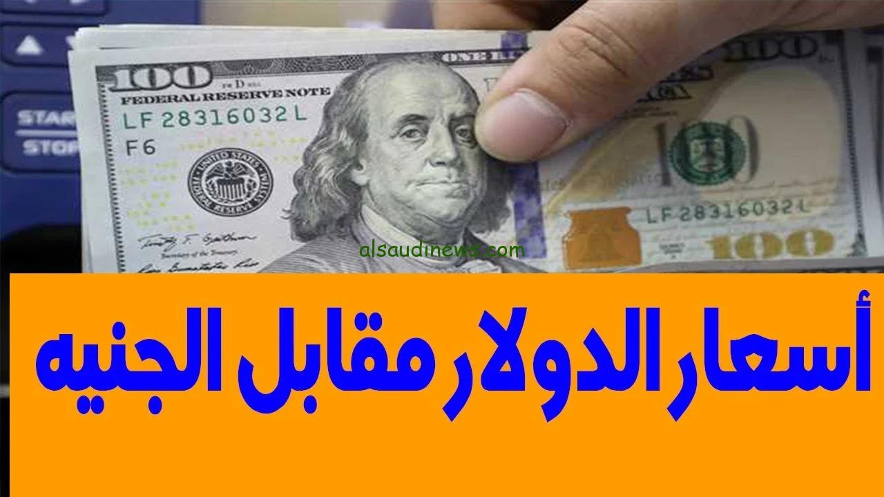 سعر الدولار اليوم مقابل الجنية 12-11-2024