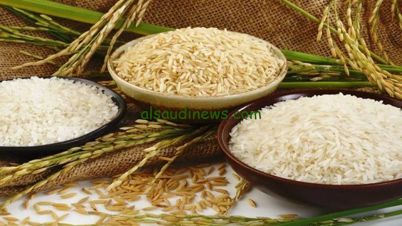سعر طن أزر الشعير اليوم الأحد 9 فبراير 2025