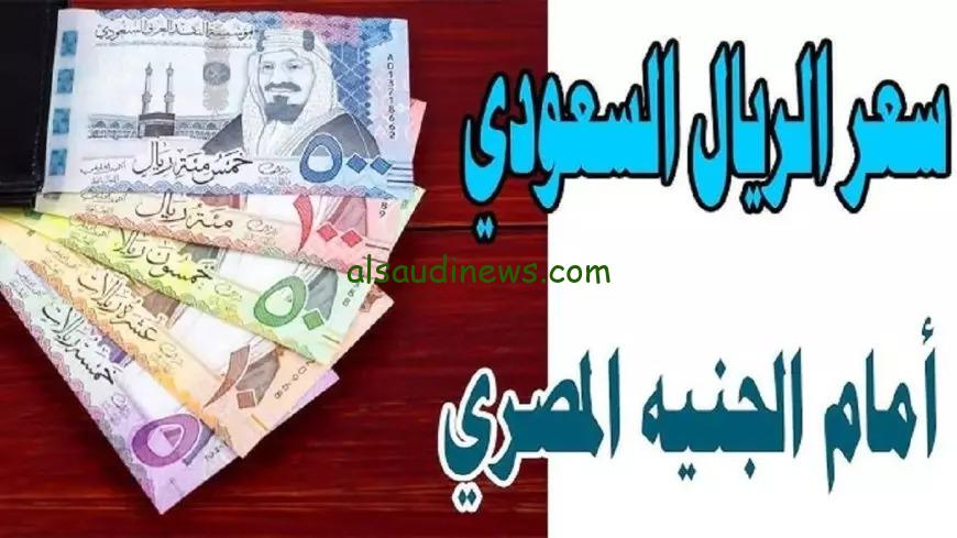 سعر الريال السعودي امام الجنية المصري