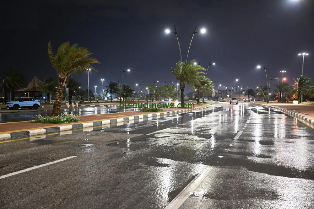 توقعات الطقس: أمطار وصواعق رعدية في المهد والحناكية حتى مساء الأحد