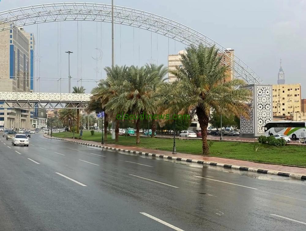 توقعات الطقس: أمطار رعدية ورياح مثيرة للأتربة في تسع مناطق