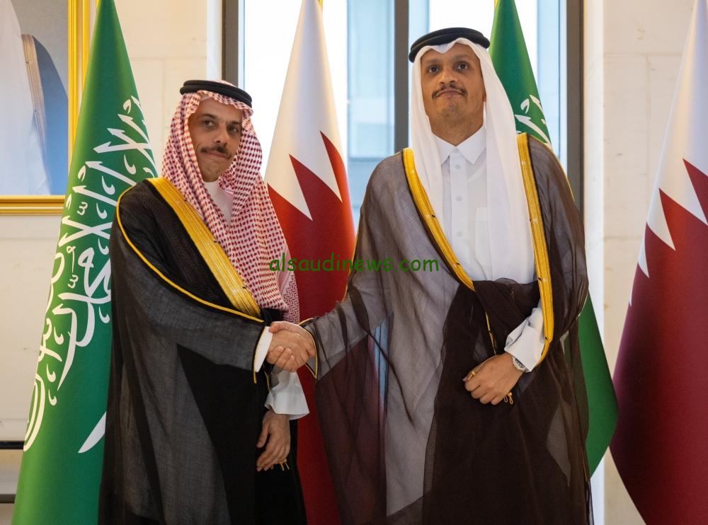 اجتماع اللجنة التنفيذية لمجلس التنسيق السعودي القطري