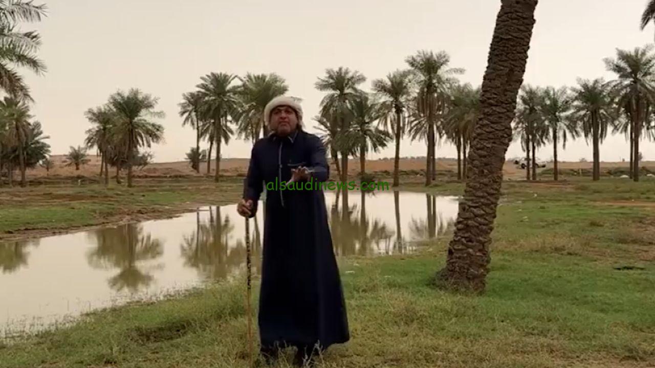 خبير طقس: دخول موسم المراويح مع بداية الربيع وأمطار قادمة بشكل متقطع