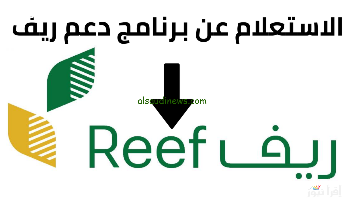 استعد لدعم الريف في أبريل 2025 واكتشف مواعيد الصرف الآن!