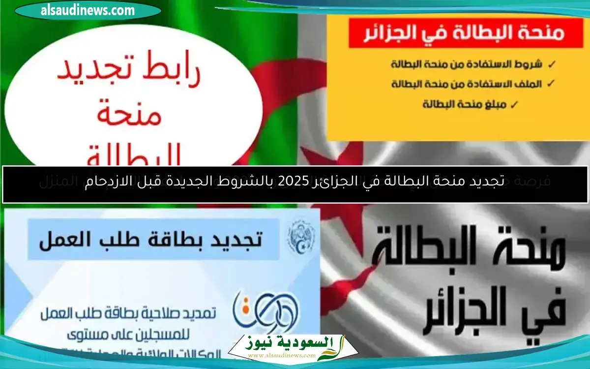 فرصة جديدة: سجّل في منحة البطالة الجزائرية 2025 واحصل على الدعم من المنزل
