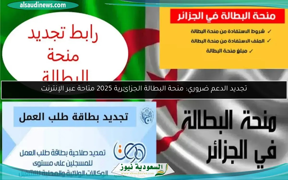 تجديد الدعم ضروري: منحة البطالة الجزائرية 2025 متاحة عبر الإنترنت