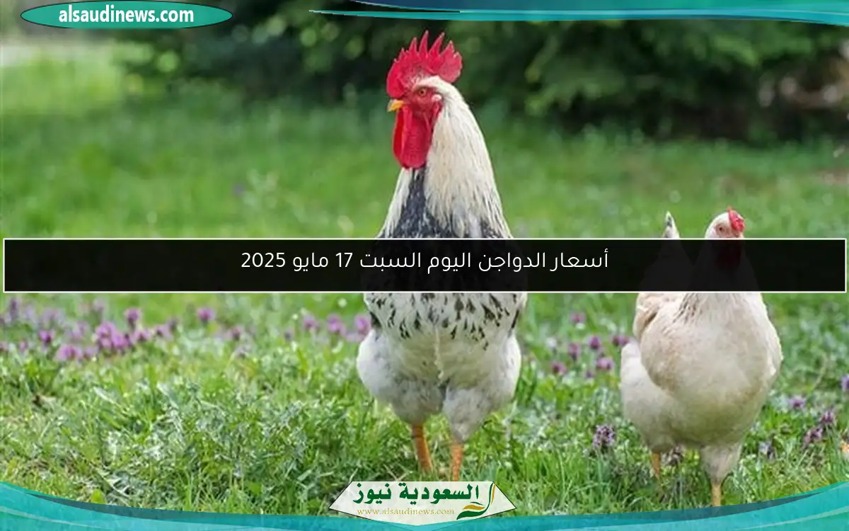 أسعار الدواجن اليوم السبت 17 مايو 2025