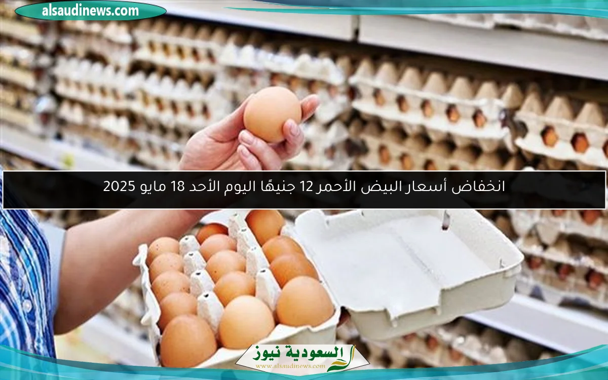 انخفاض أسعار البيض الأحمر 12 جنيهًا اليوم الأحد 18 مايو 2025