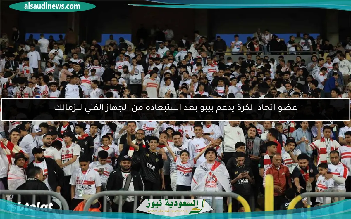 عضو اتحاد الكرة يدعم بيبو بعد استبعاده من الجهاز الفني للزمالك