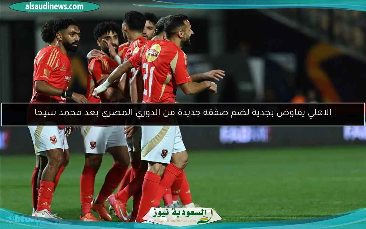 الأهلي يفاوض بجدية لضم صفقة جديدة من الدوري المصري بعد محمد سيحا