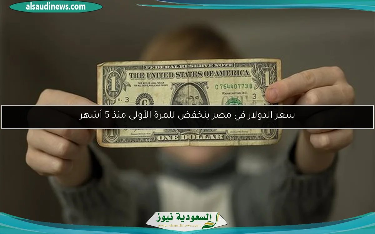 سعر الدولار في مصر ينخفض للمرة الأولى منذ 5 أشهر