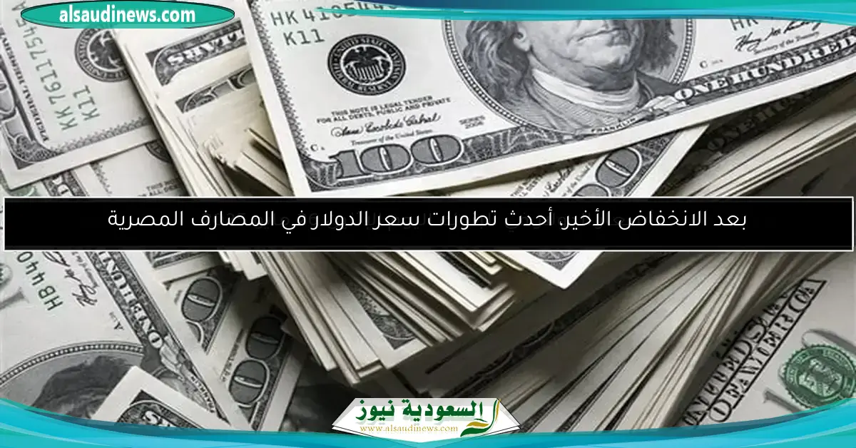 الدولار بكام النهارده؟ أسعار العملة الخضراء في البنوك المصرية (تحديث فوري)