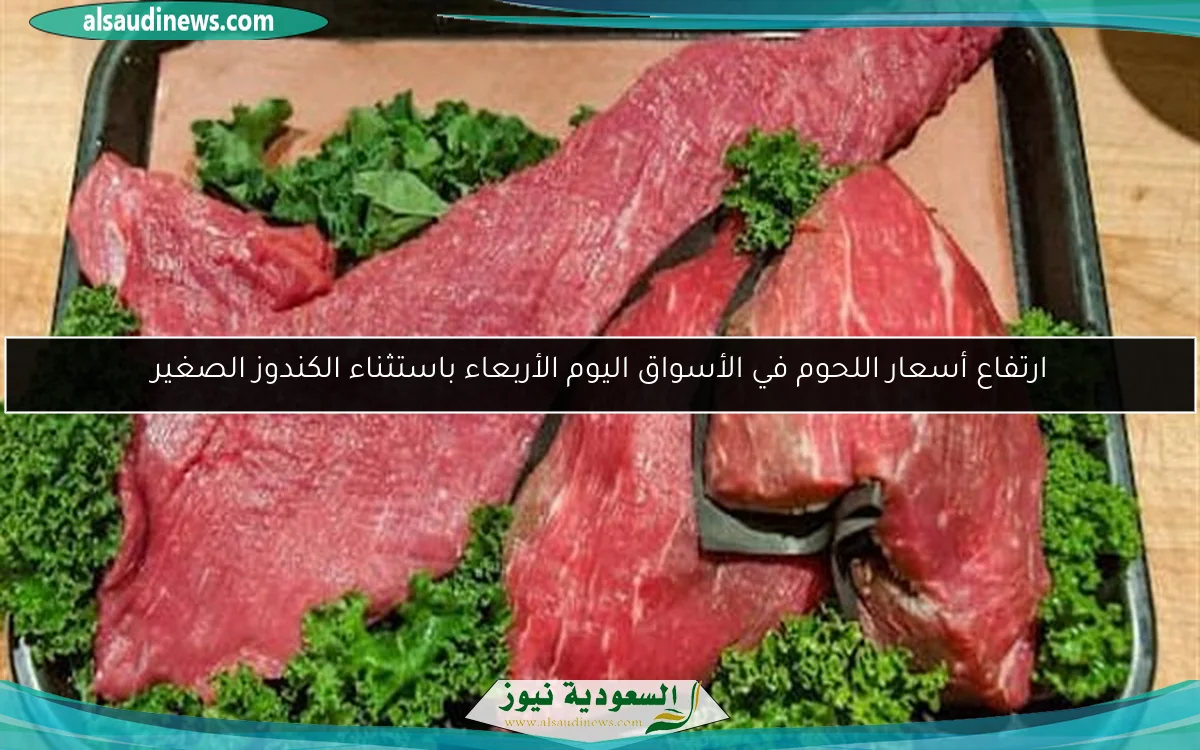 ارتفاع أسعار اللحوم في الأسواق اليوم الأربعاء باستثناء الكندوز الصغير