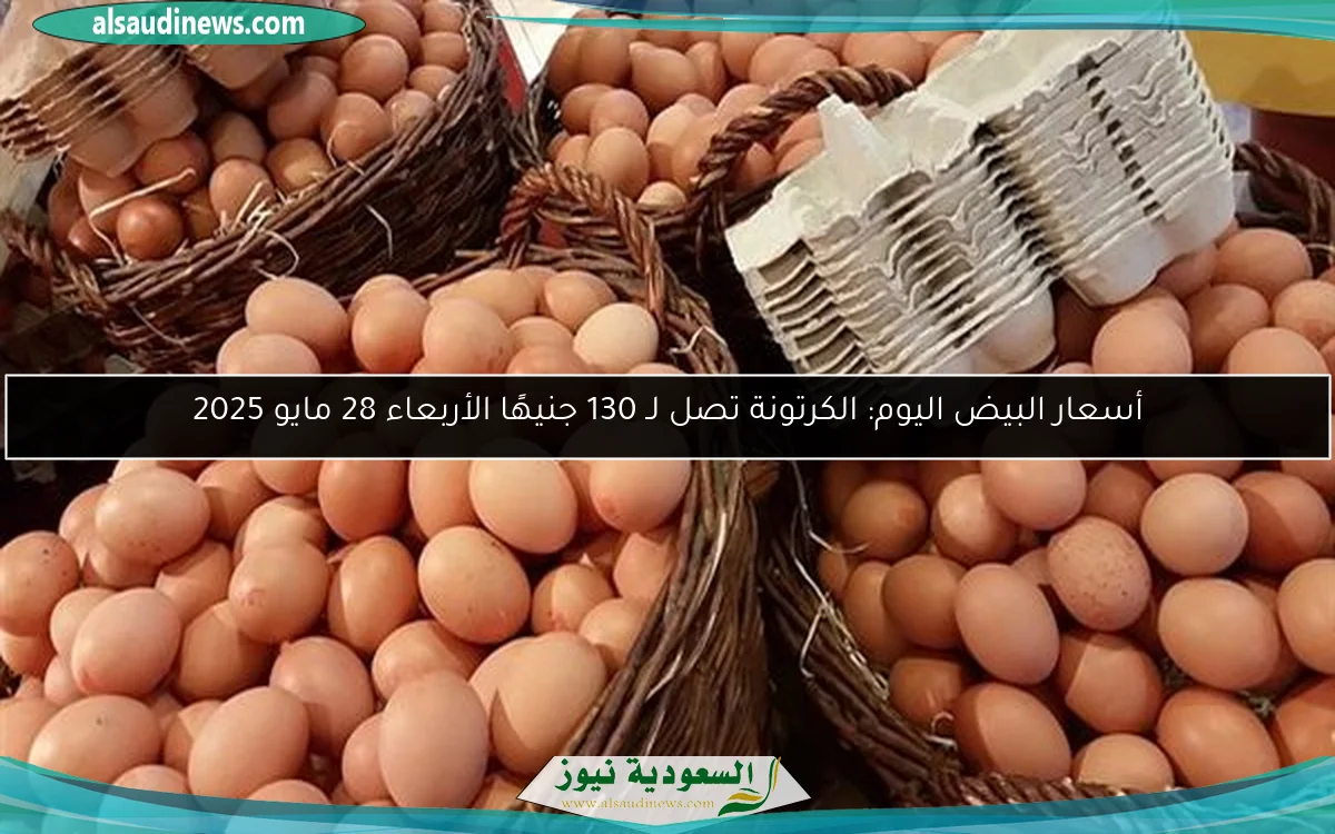 أسعار البيض اليوم: الكرتونة تصل لـ 130 جنيهًا الأربعاء 28 مايو 2025