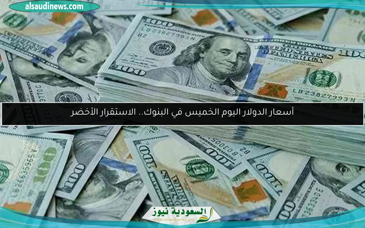 أسعار الدولار اليوم الخميس في البنوك.. الاستقرار الأخضر