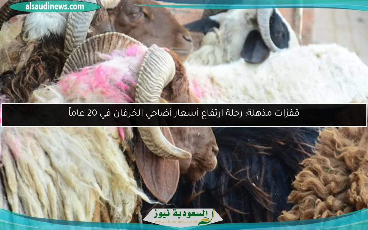 قفزات مذهلة: رحلة ارتفاع أسعار أضاحي الخرفان في 20 عاماً