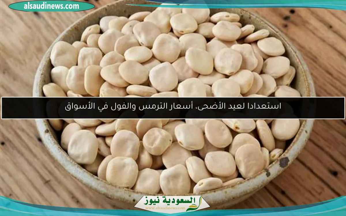 استعدادا لعيد الأضحى، أسعار الترمس والفول في الأسواق